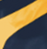 True Navy / Gold