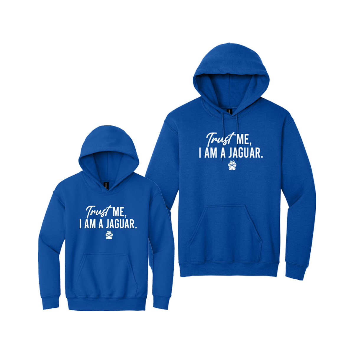 Trustworthiness - Hoodie
